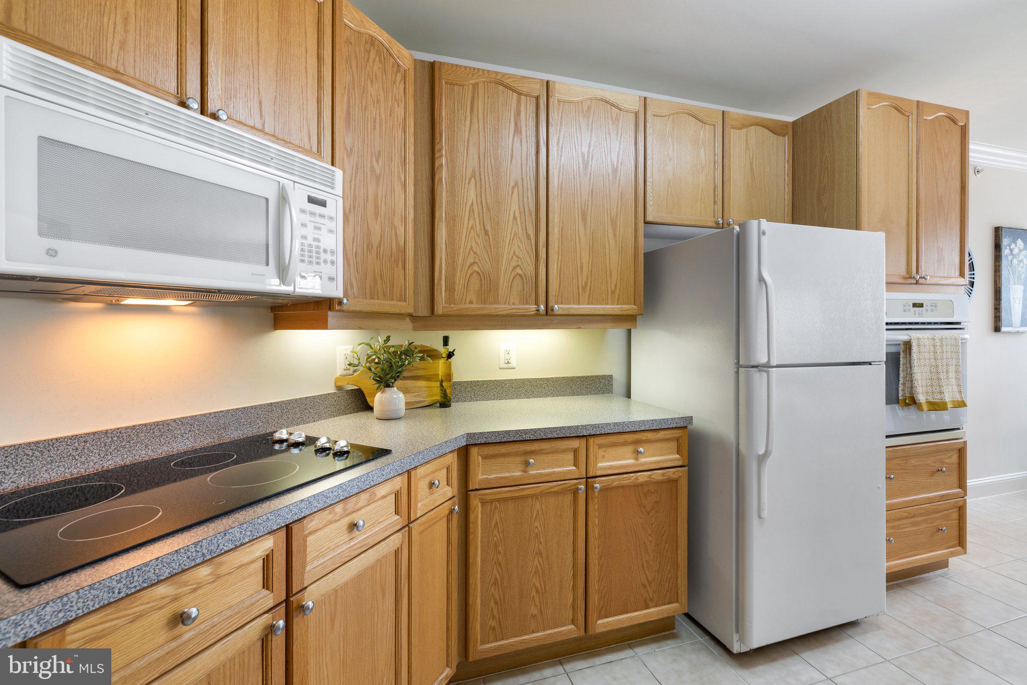 6704 HOLLY FARM LANE 203