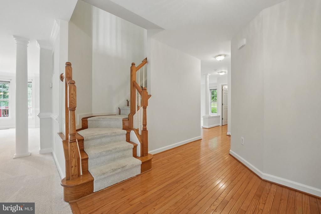 538 Colony Ct