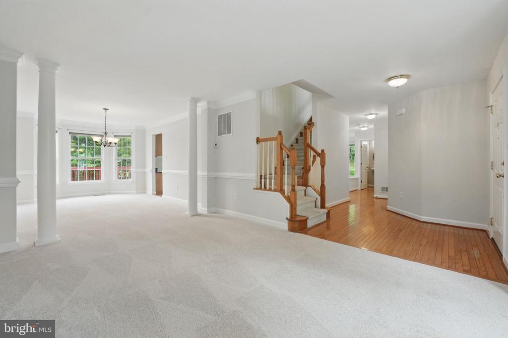 538 Colony Ct