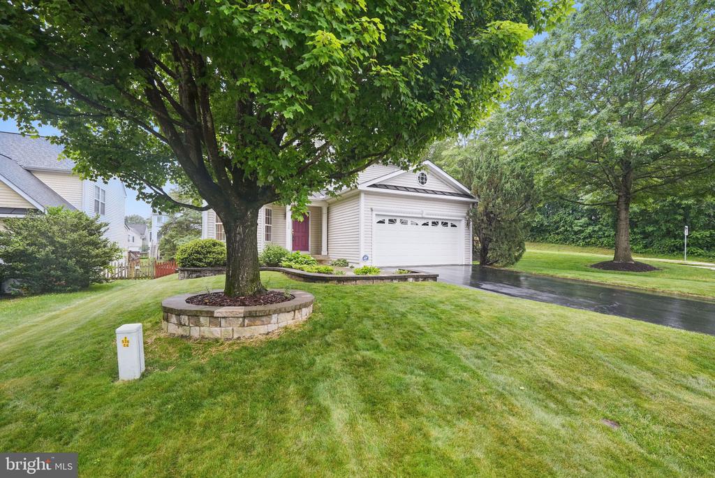 538 Colony Ct