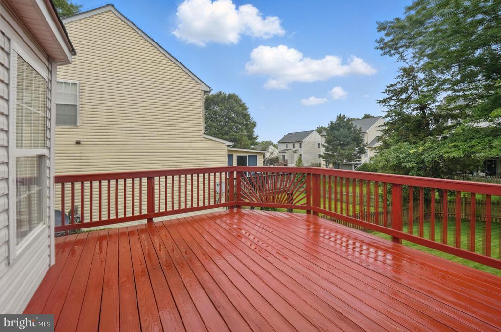 538 Colony Ct