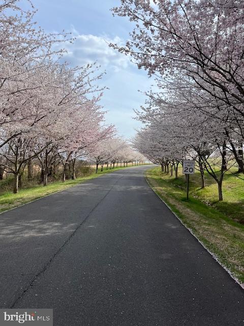 6008 FINCHINGFIELD ROAD