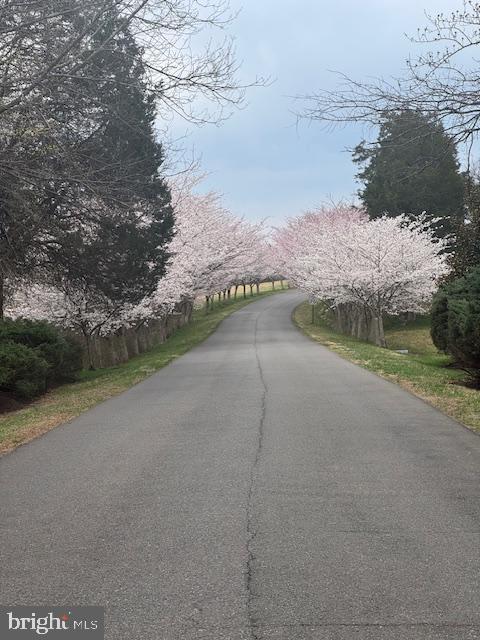 6008 FINCHINGFIELD ROAD