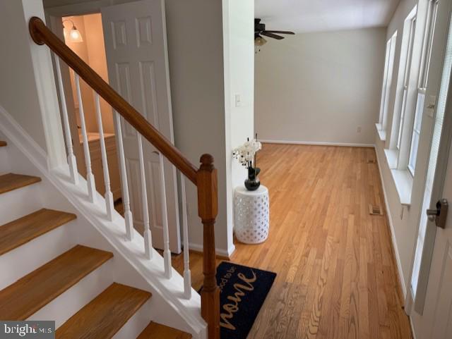 4195 OLD TOAD ROAD