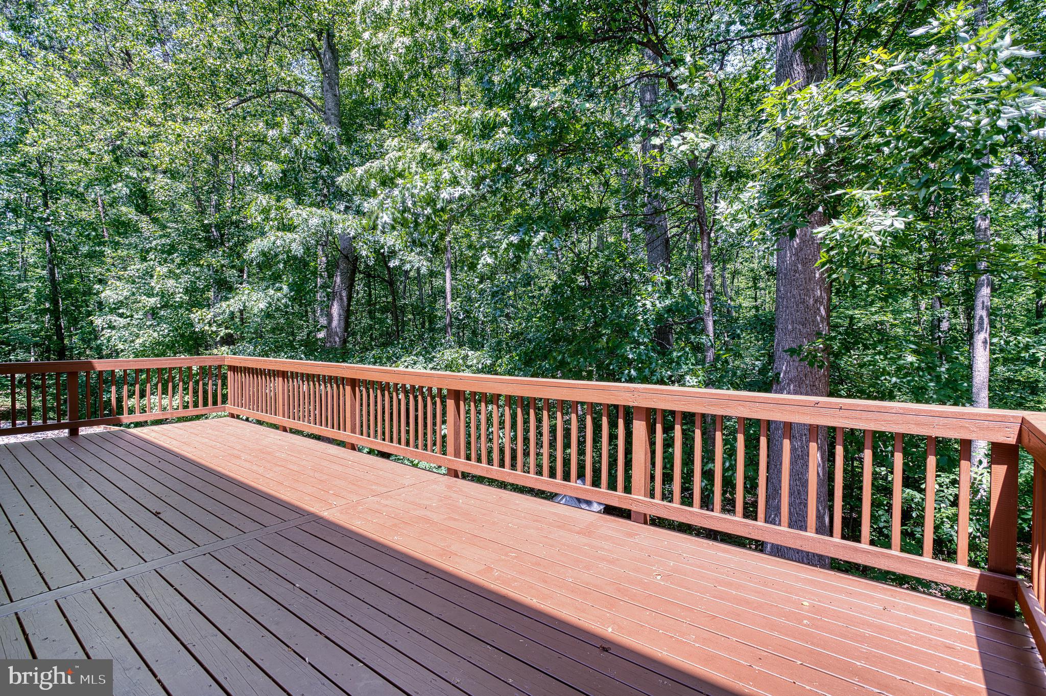 4195 OLD TOAD ROAD
