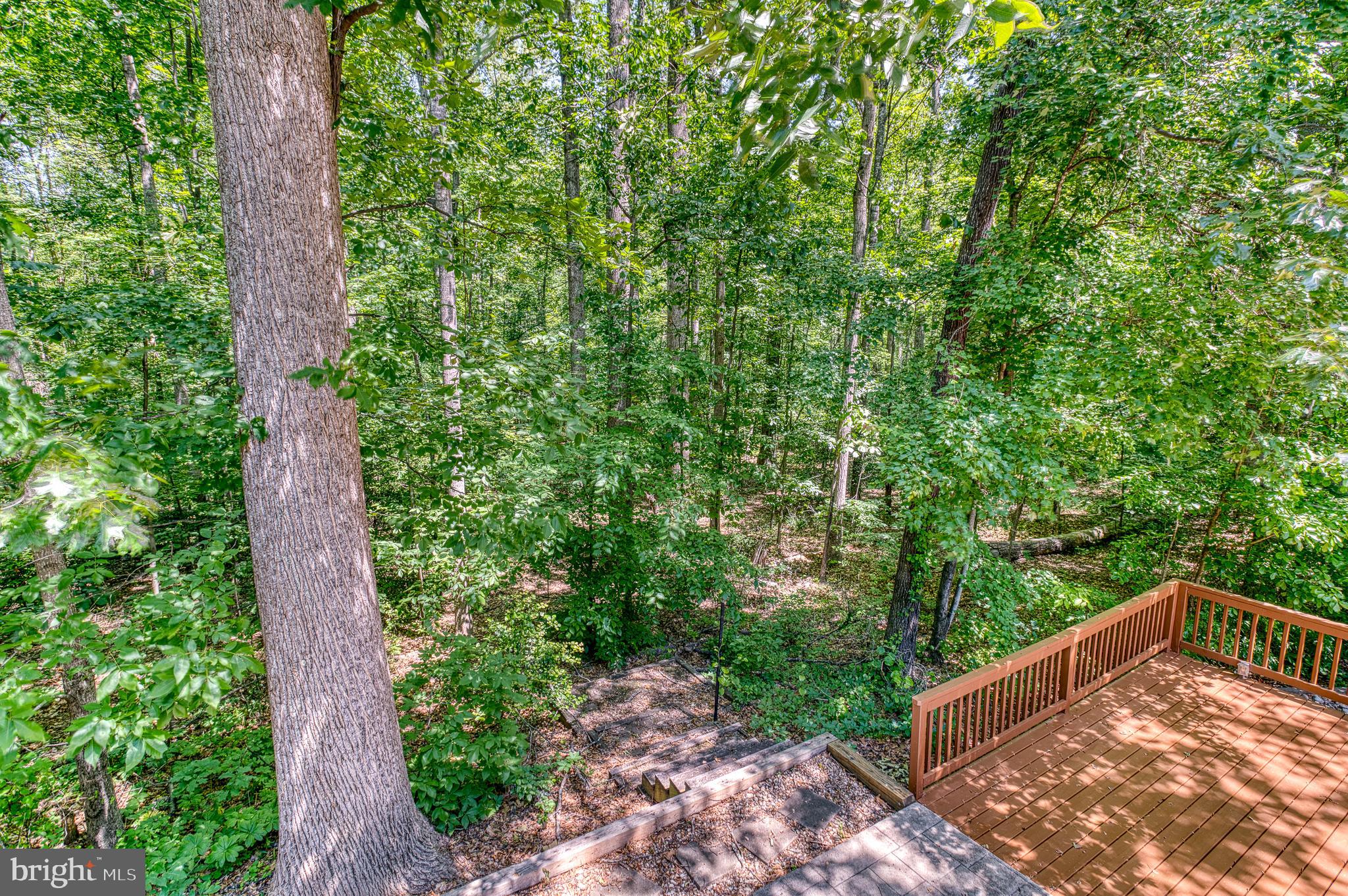 4195 OLD TOAD ROAD