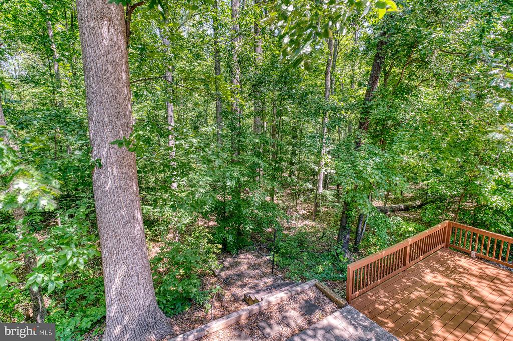 4195 OLD TOAD ROAD
