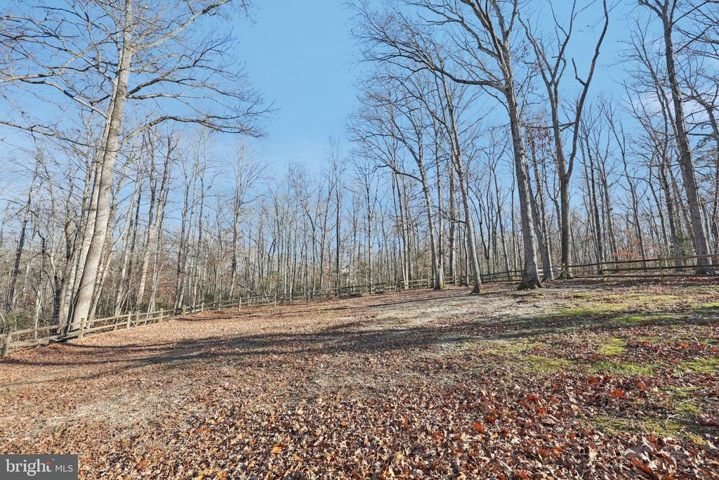 13445 BLACKWELLS MILL ROAD