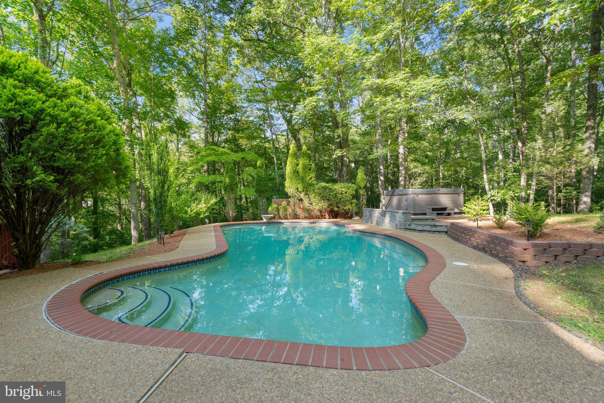 11115 ORLEAN VISTA DRIVE