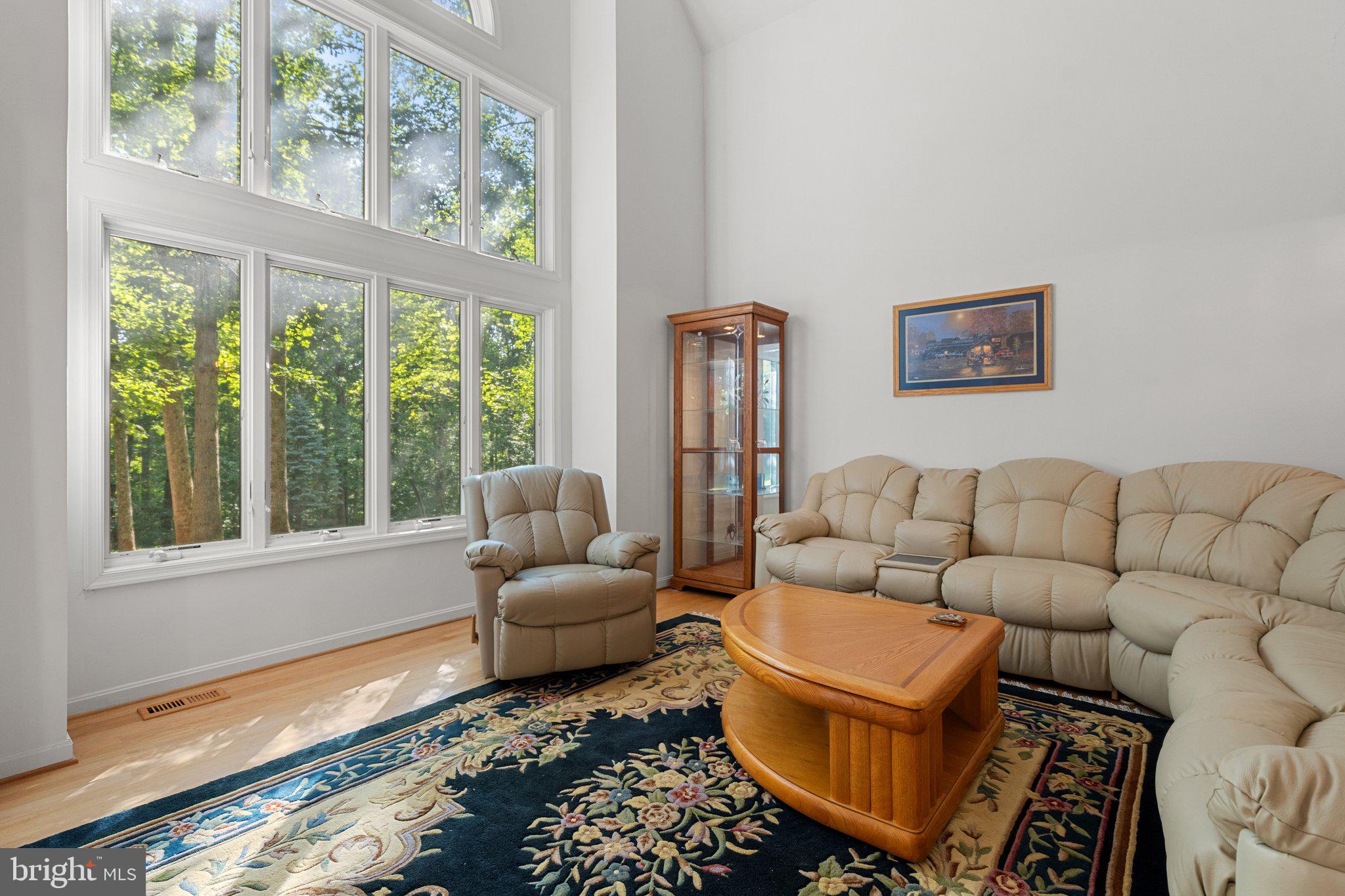 11115 ORLEAN VISTA DRIVE