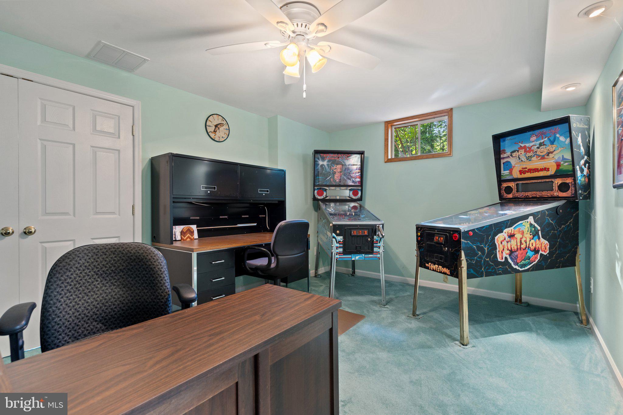 11115 ORLEAN VISTA DRIVE