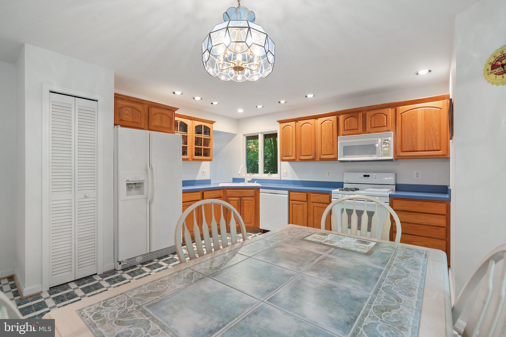 11115 ORLEAN VISTA DRIVE