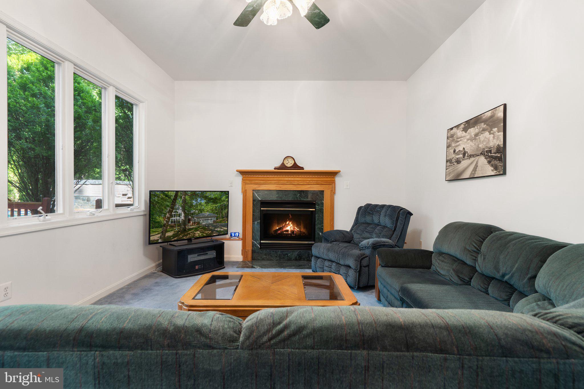 11115 ORLEAN VISTA DRIVE