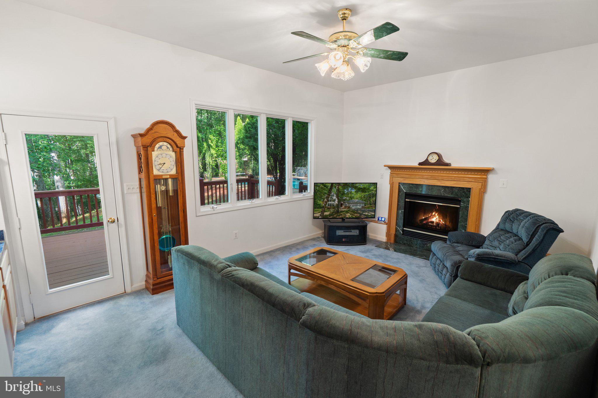 11115 ORLEAN VISTA DRIVE