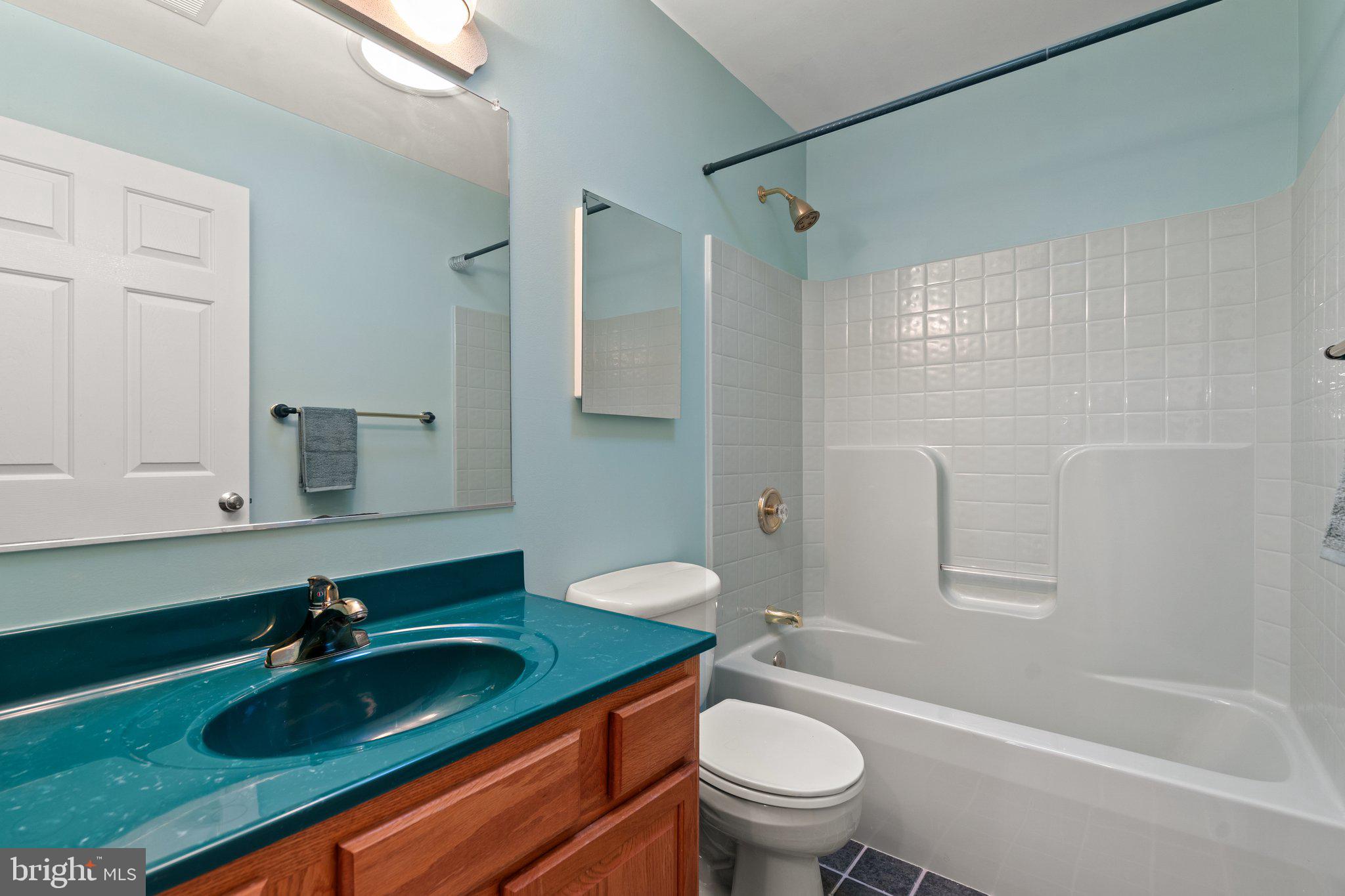 11115 ORLEAN VISTA DRIVE