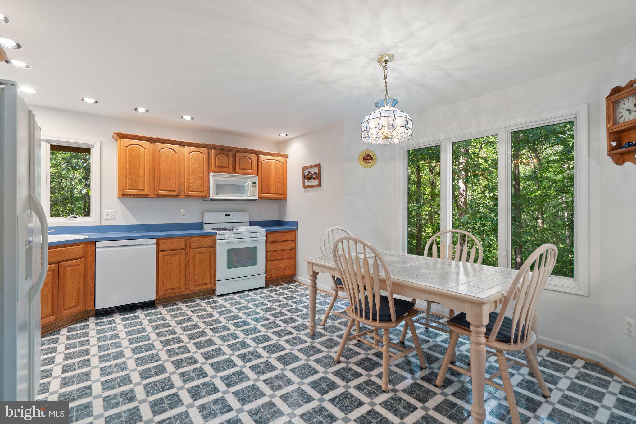 11115 ORLEAN VISTA DRIVE