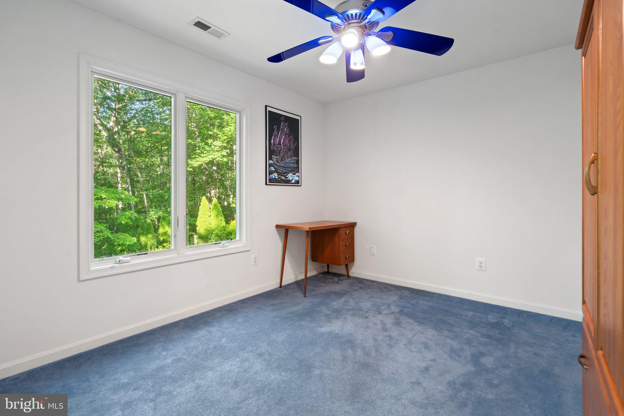 11115 ORLEAN VISTA DRIVE