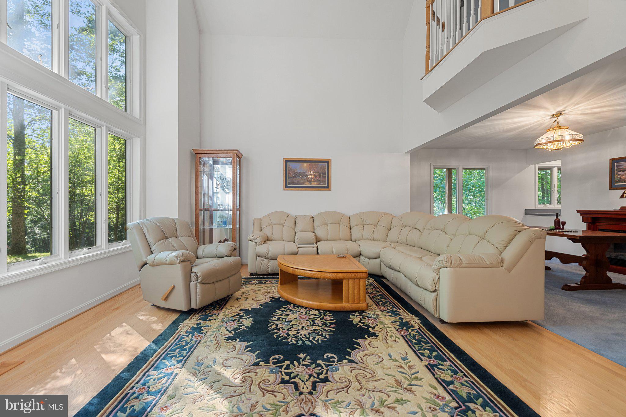 11115 ORLEAN VISTA DRIVE