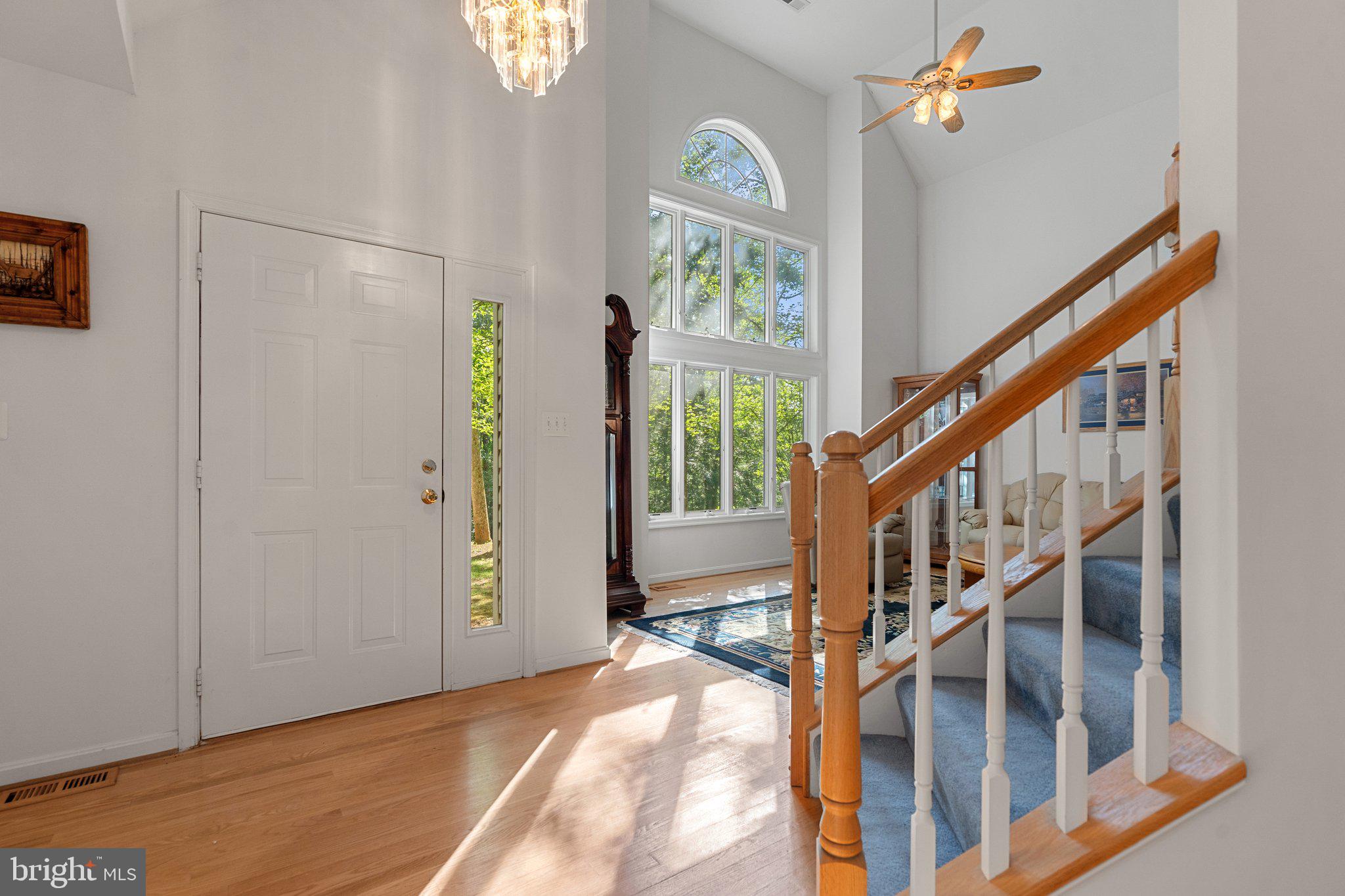 11115 ORLEAN VISTA DRIVE