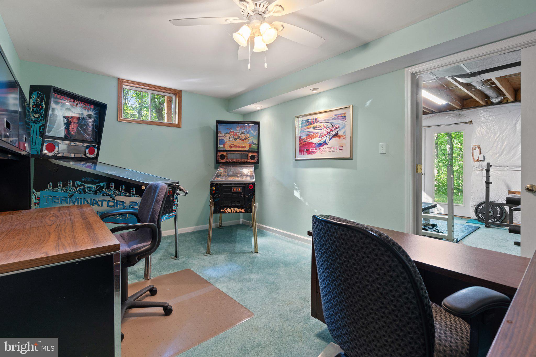 11115 ORLEAN VISTA DRIVE