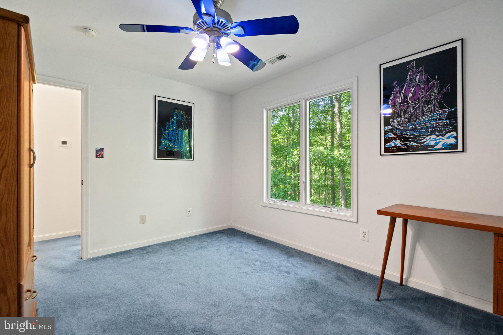 11115 ORLEAN VISTA DRIVE