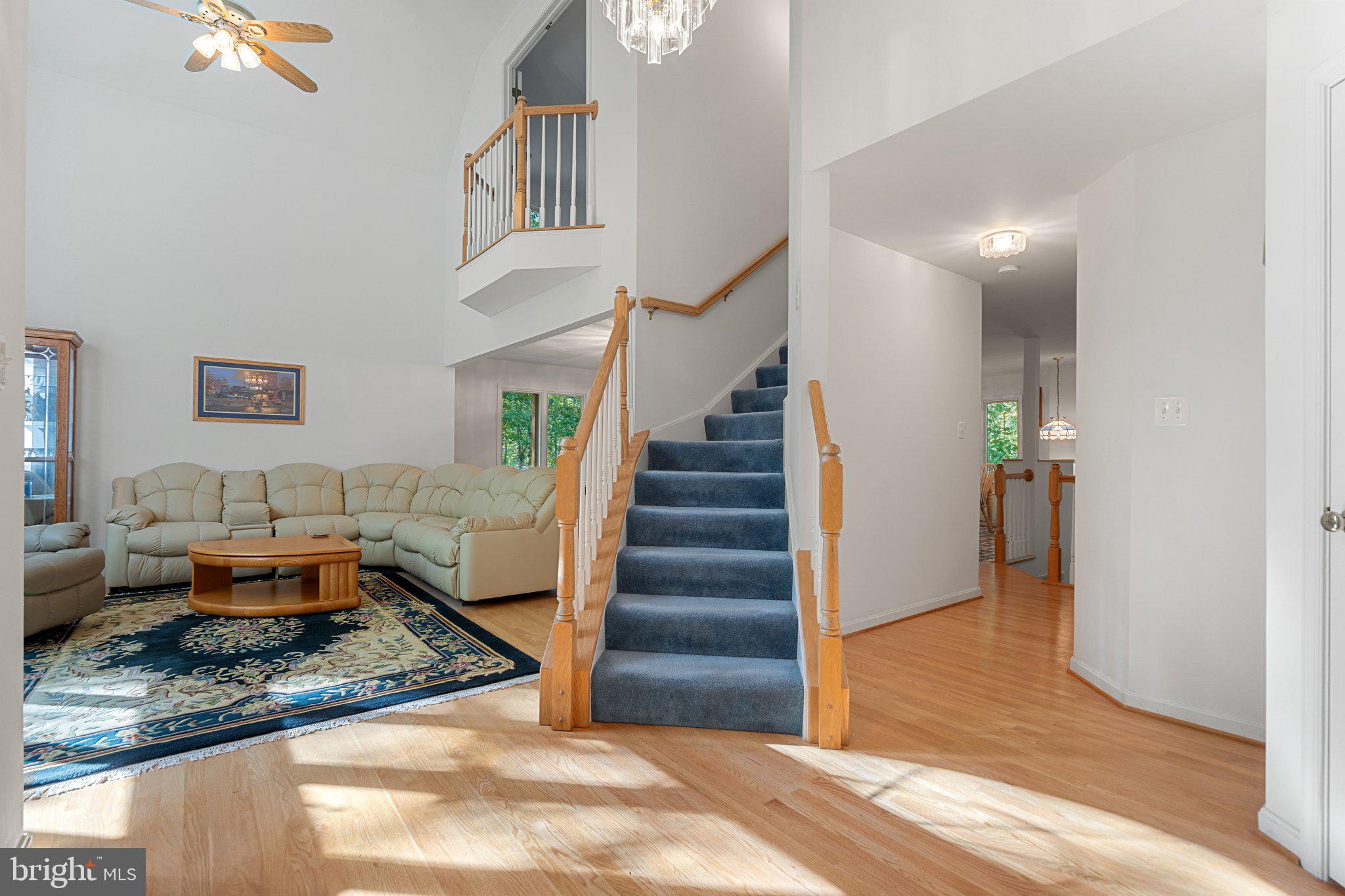 11115 ORLEAN VISTA DRIVE