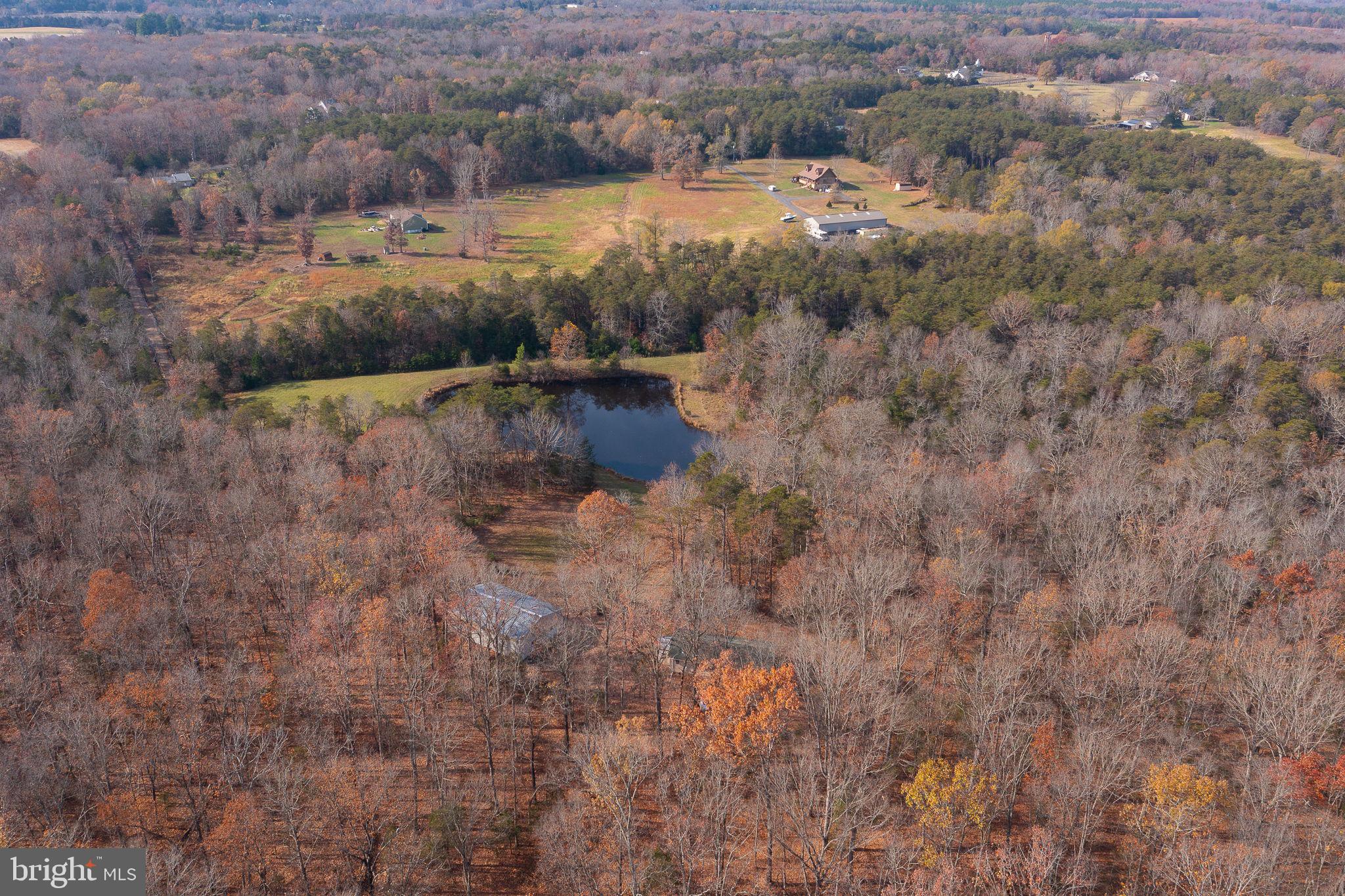 14 ACRES SHENANDOAH PATH