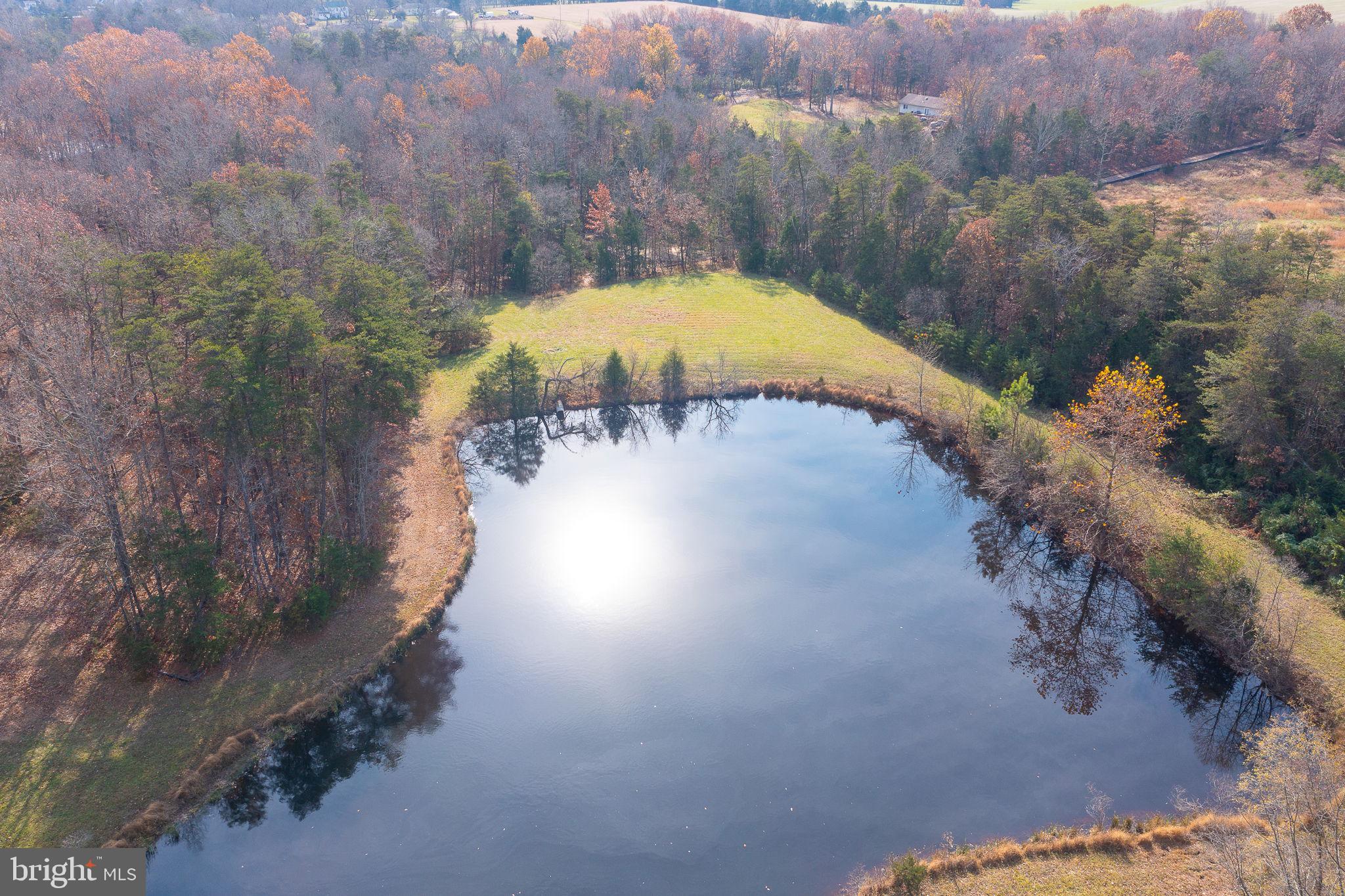 14 ACRES SHENANDOAH PATH