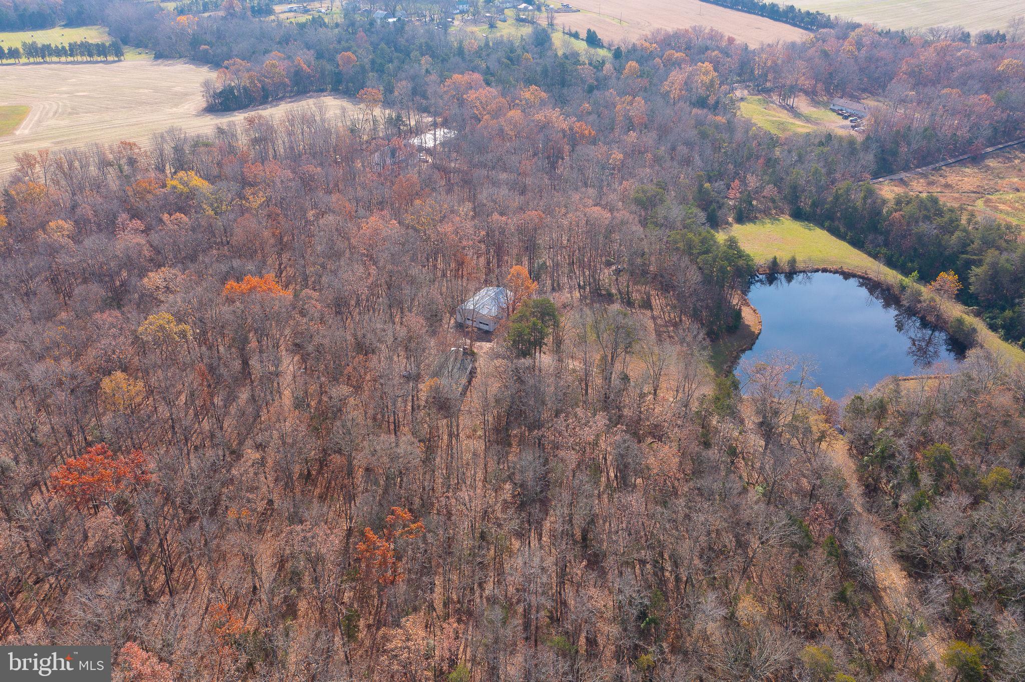 14 ACRES SHENANDOAH PATH
