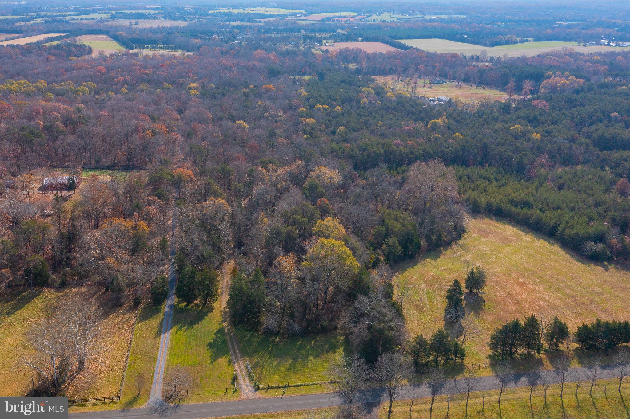 14 ACRES SHENANDOAH PATH