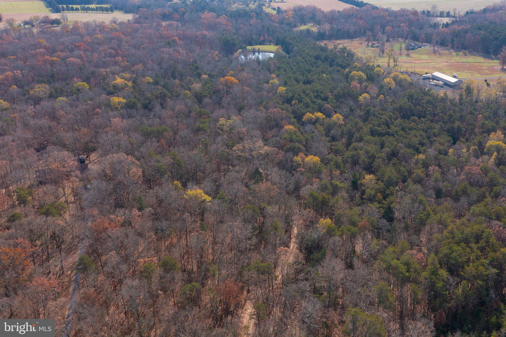 14 ACRES SHENANDOAH PATH
