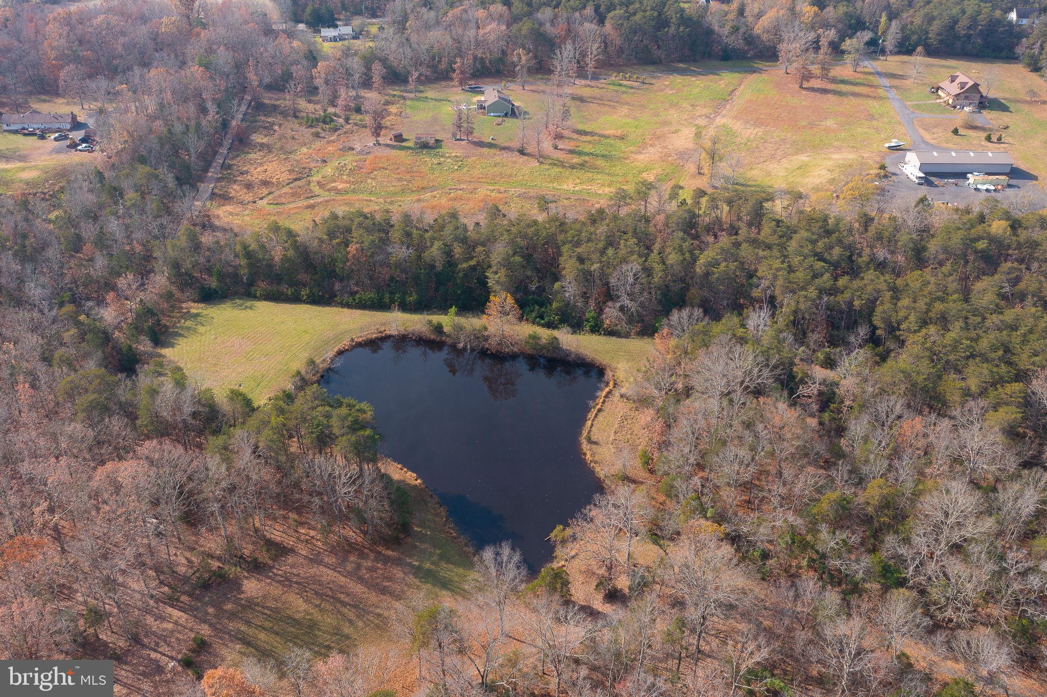 14 ACRES SHENANDOAH PATH