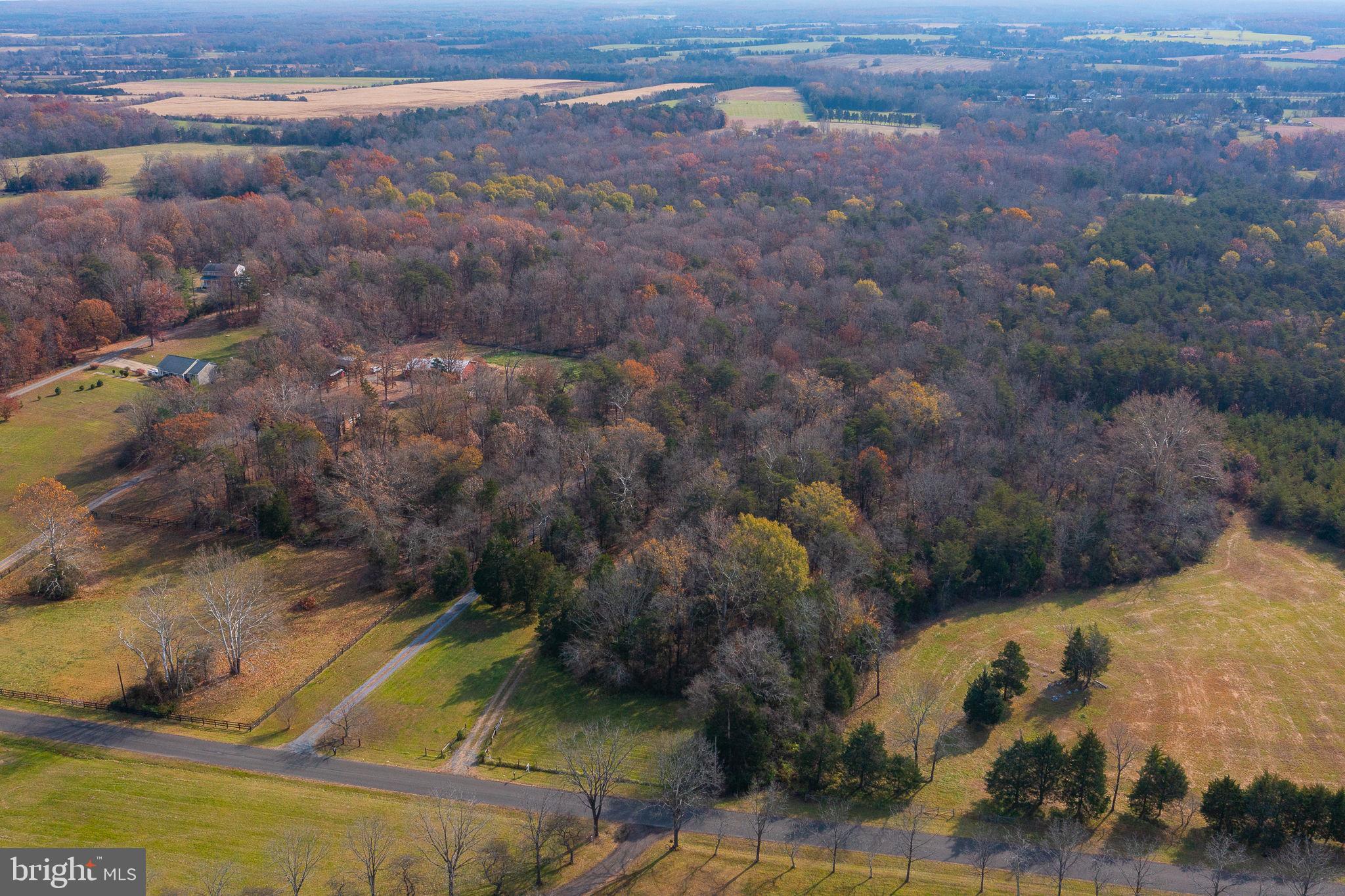 14 ACRES SHENANDOAH PATH
