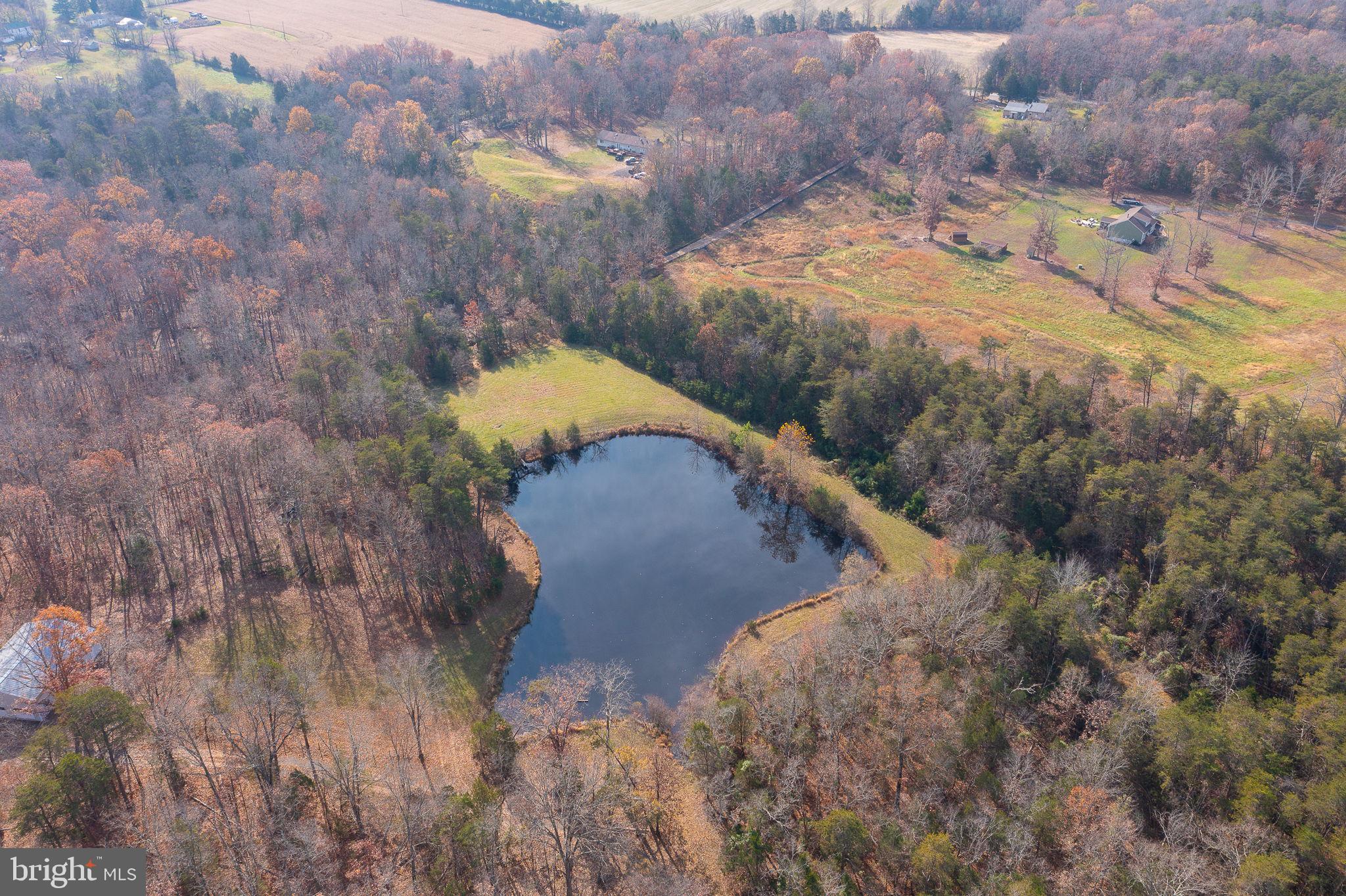 14 ACRES SHENANDOAH PATH