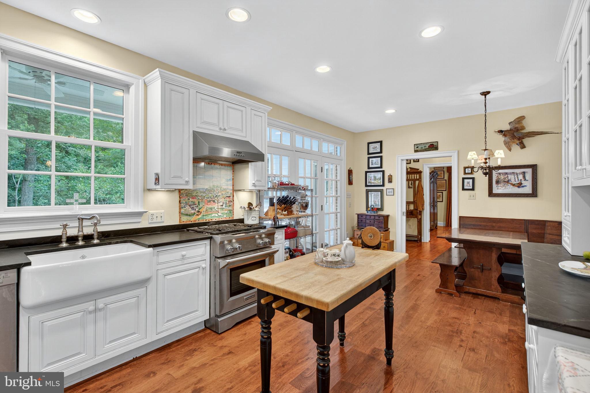 11136 ORLEAN VISTA DRIVE