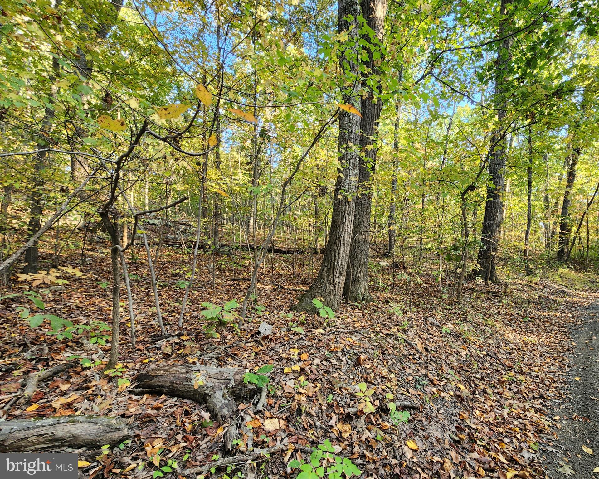 Lots 3 and 4 ERNEST ROBINSON ROAD