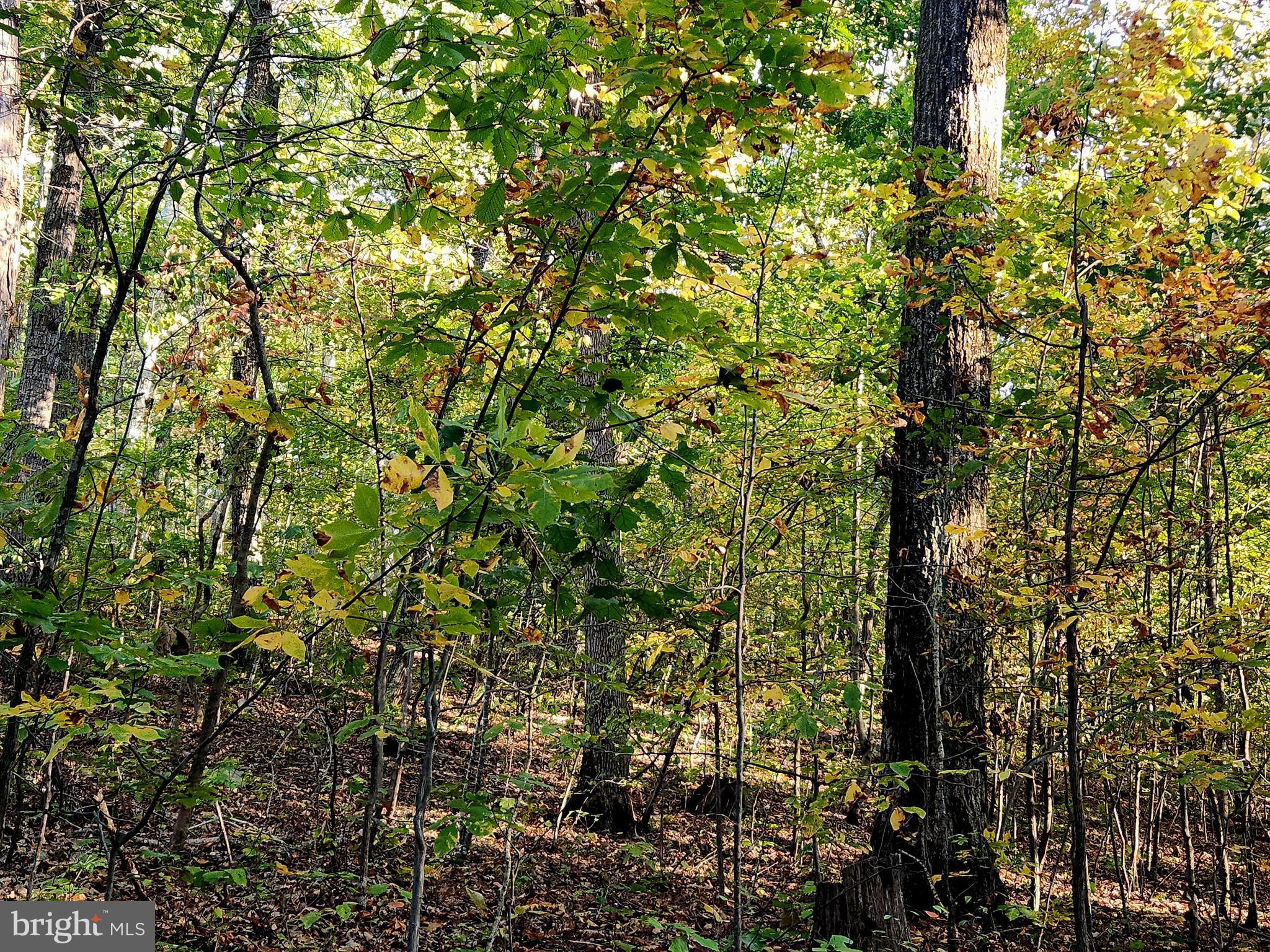 Lots 3 and 4 ERNEST ROBINSON ROAD