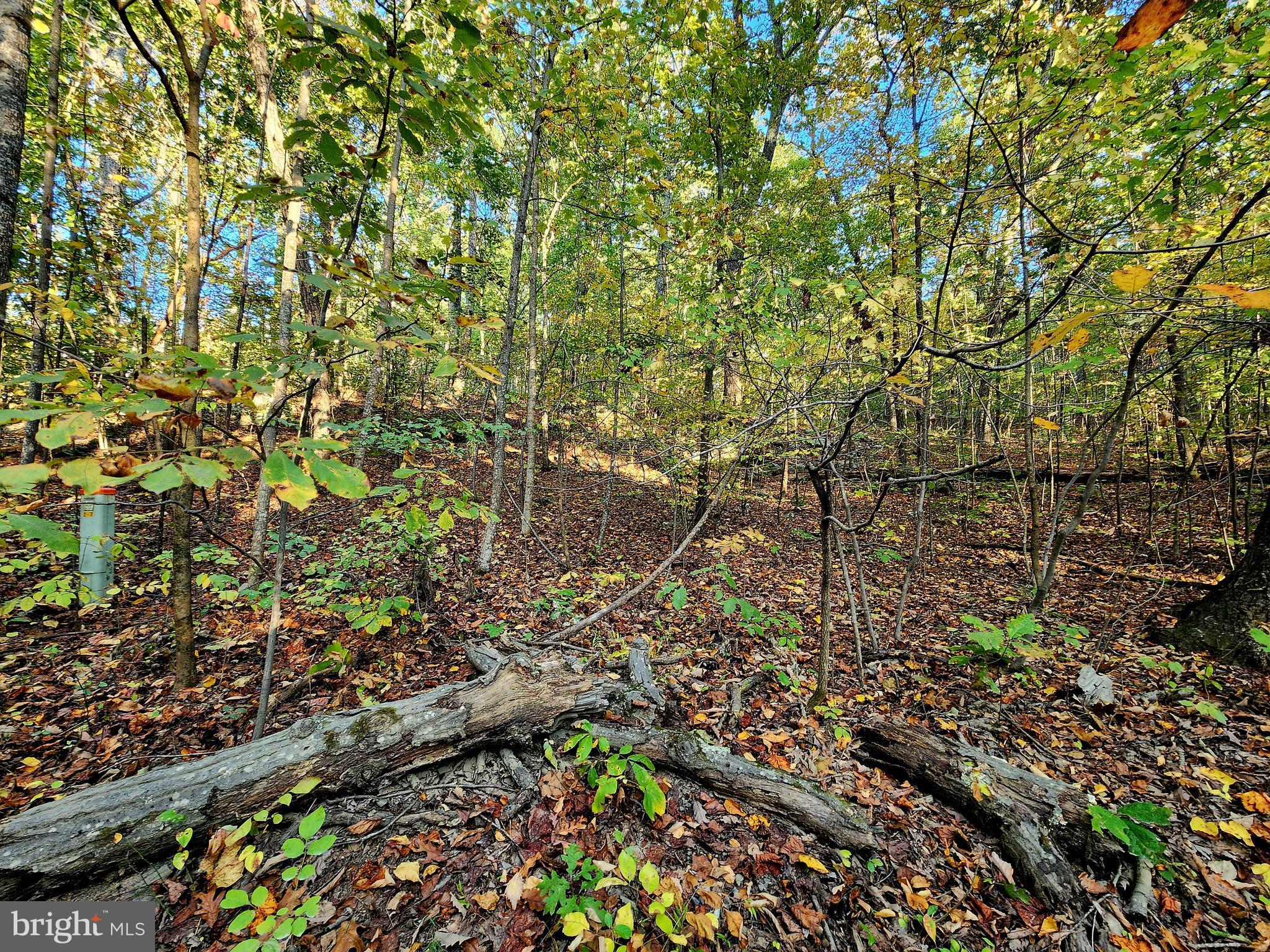 Lots 3 and 4 ERNEST ROBINSON ROAD