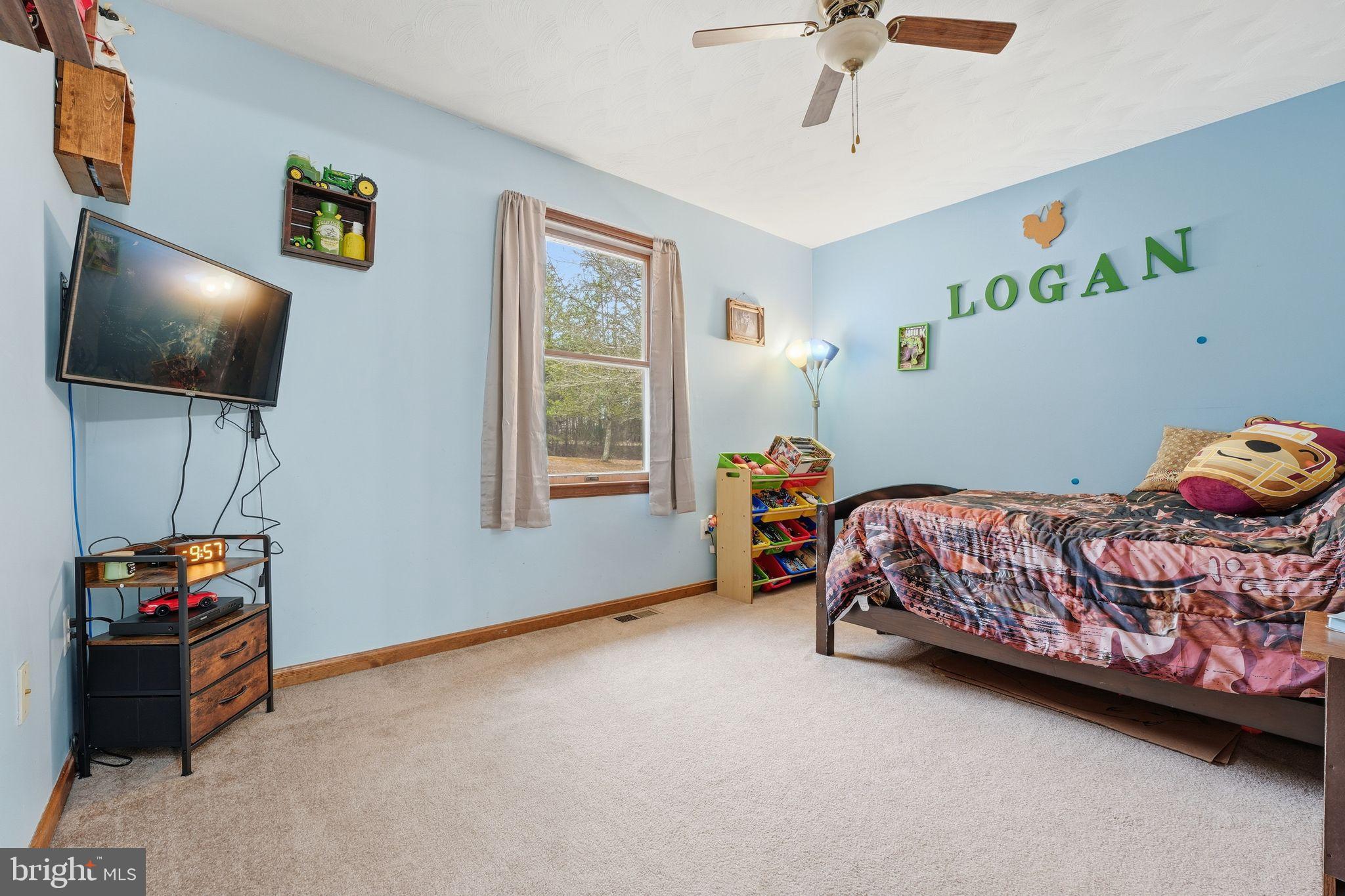 14566 SNAKE CASTLE ROAD