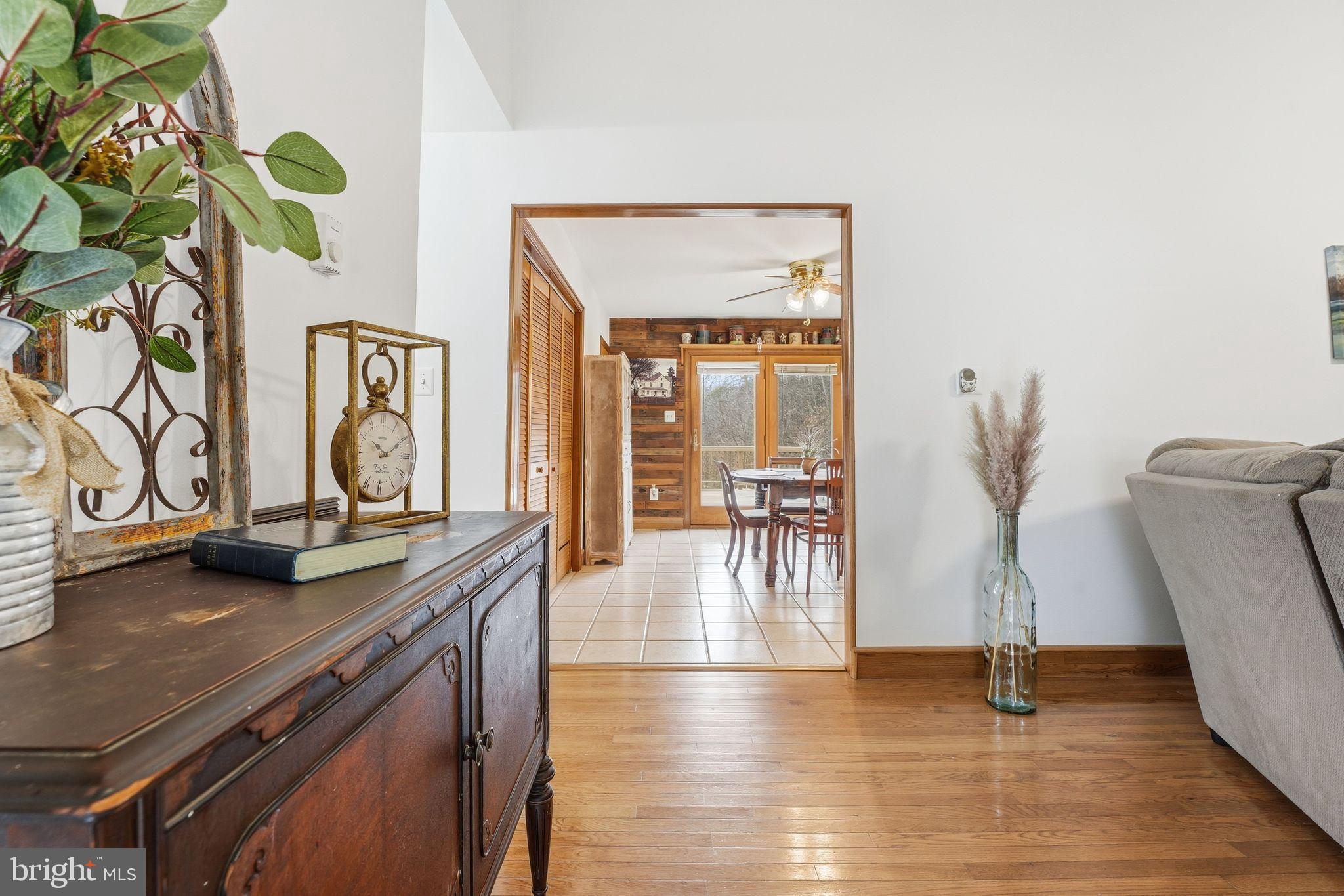 14566 SNAKE CASTLE ROAD