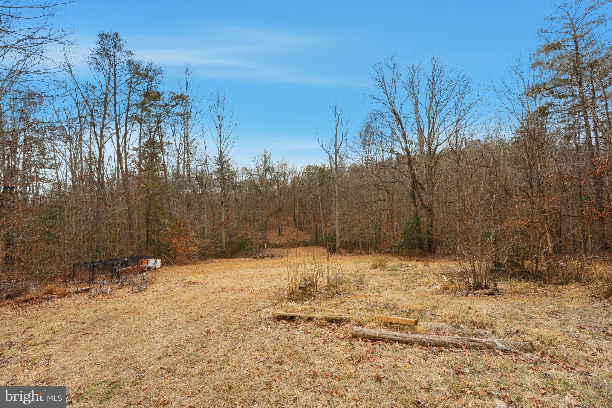 14566 SNAKE CASTLE ROAD