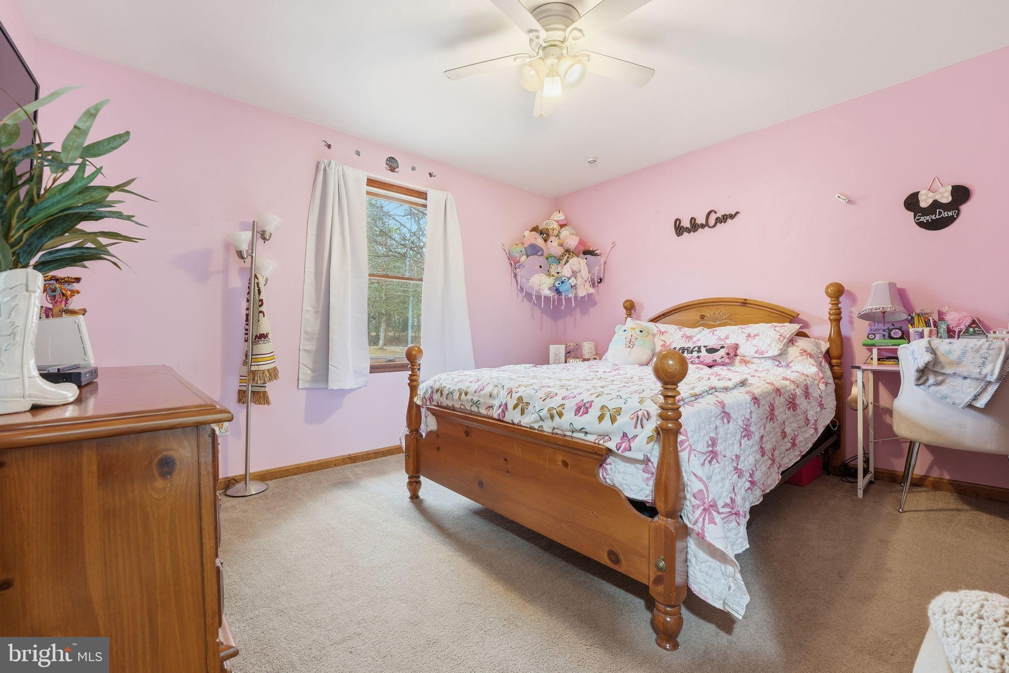 14566 SNAKE CASTLE ROAD