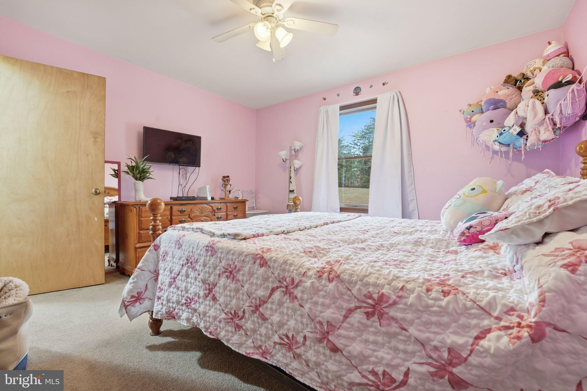 14566 SNAKE CASTLE ROAD