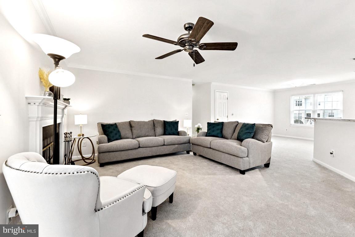 219 FERNWOOD PLACE 219B