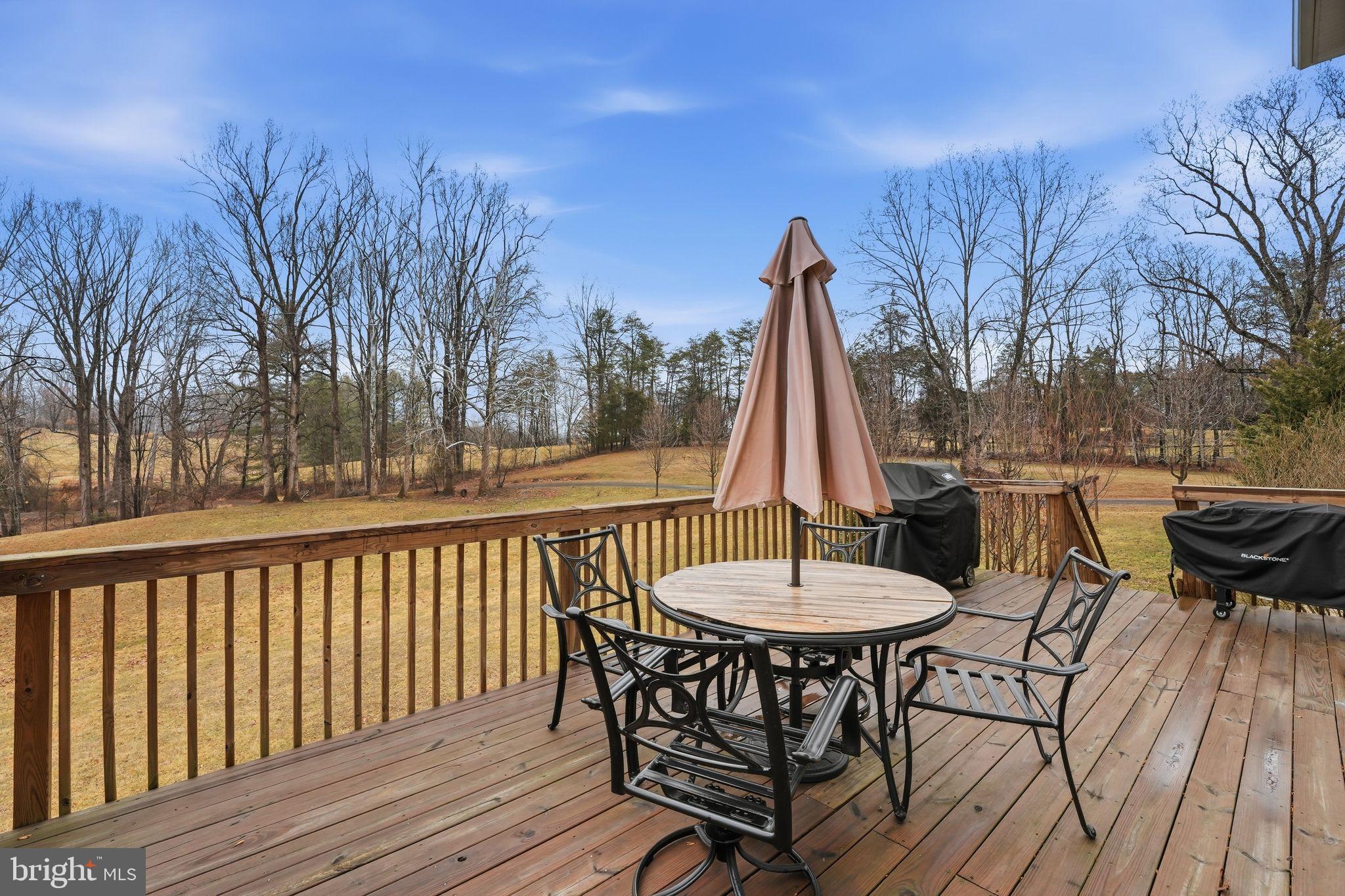 9454 PINEY MOUNTAIN ROAD