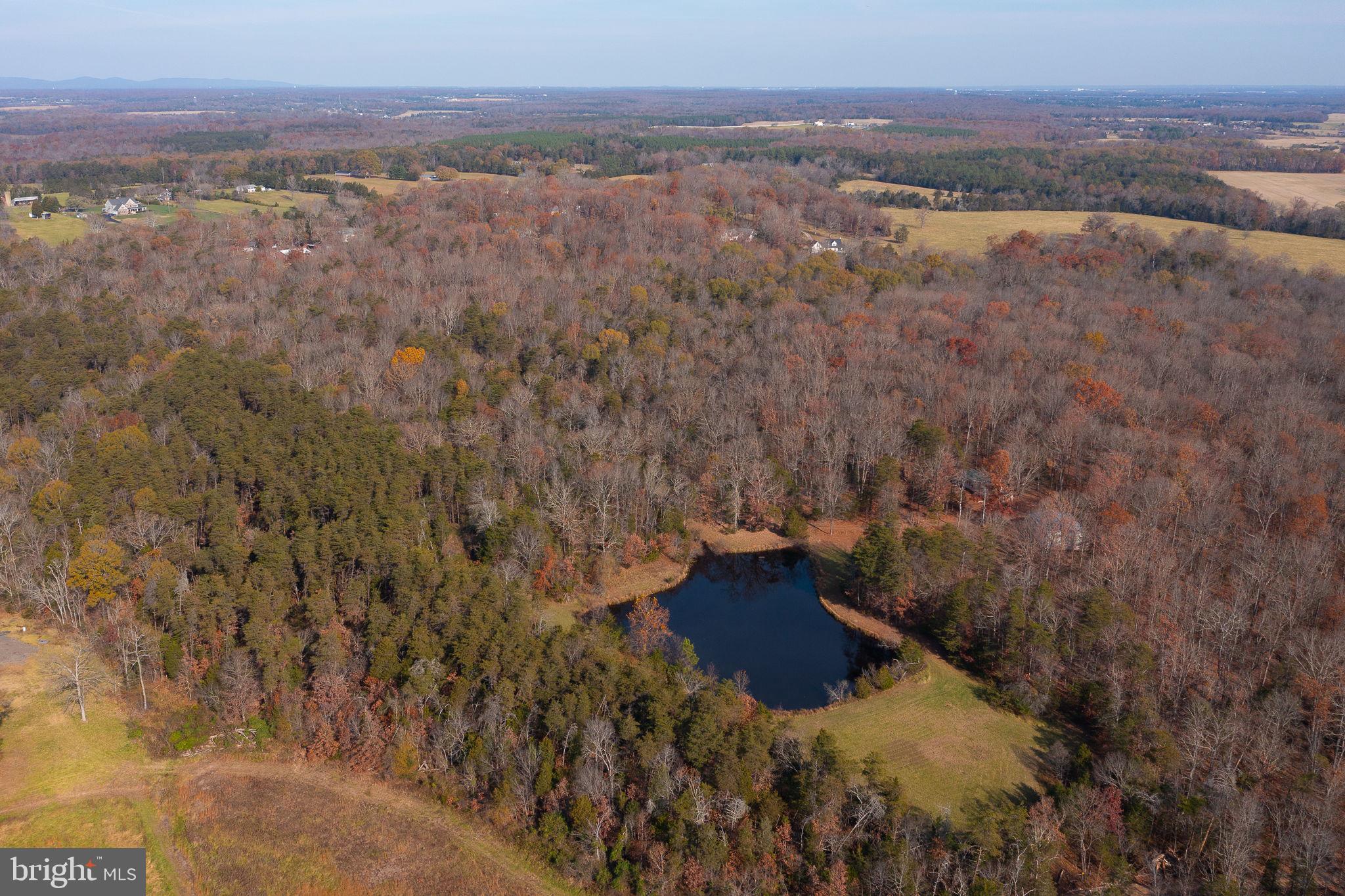 14 ACRES SHENANDOAH PATH