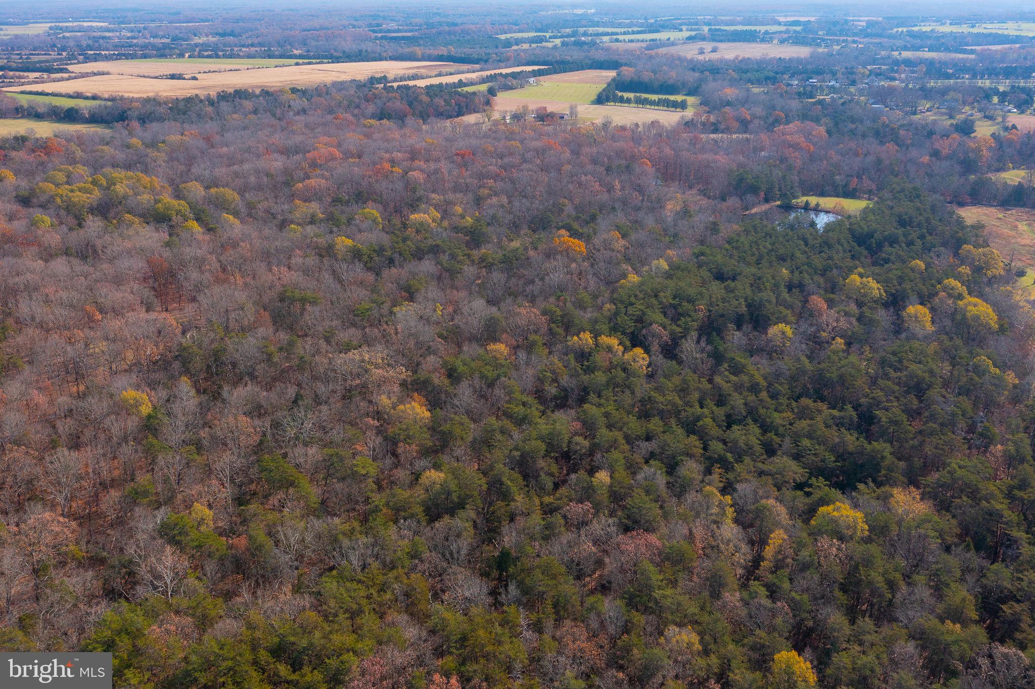 14 ACRES SHENANDOAH PATH