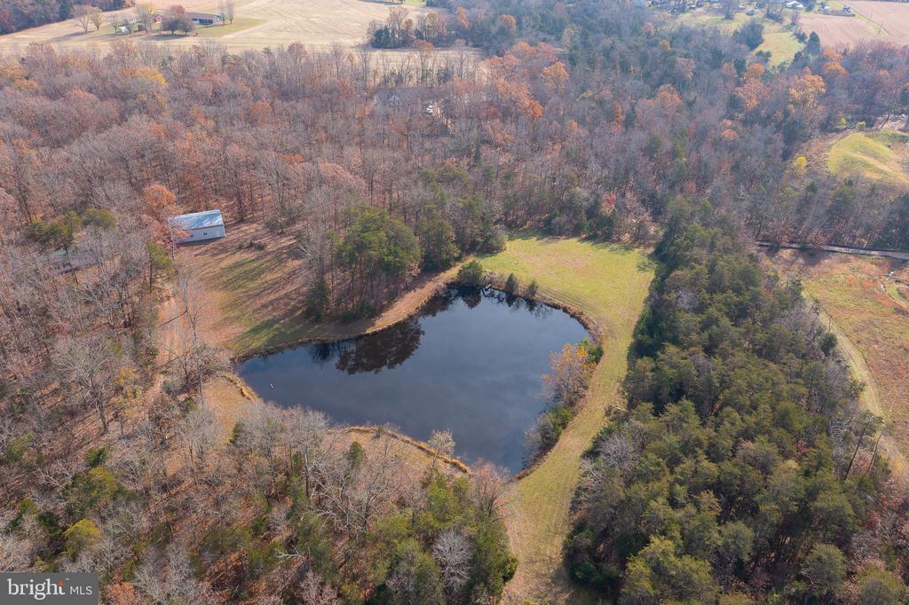 14 ACRES SHENANDOAH PATH