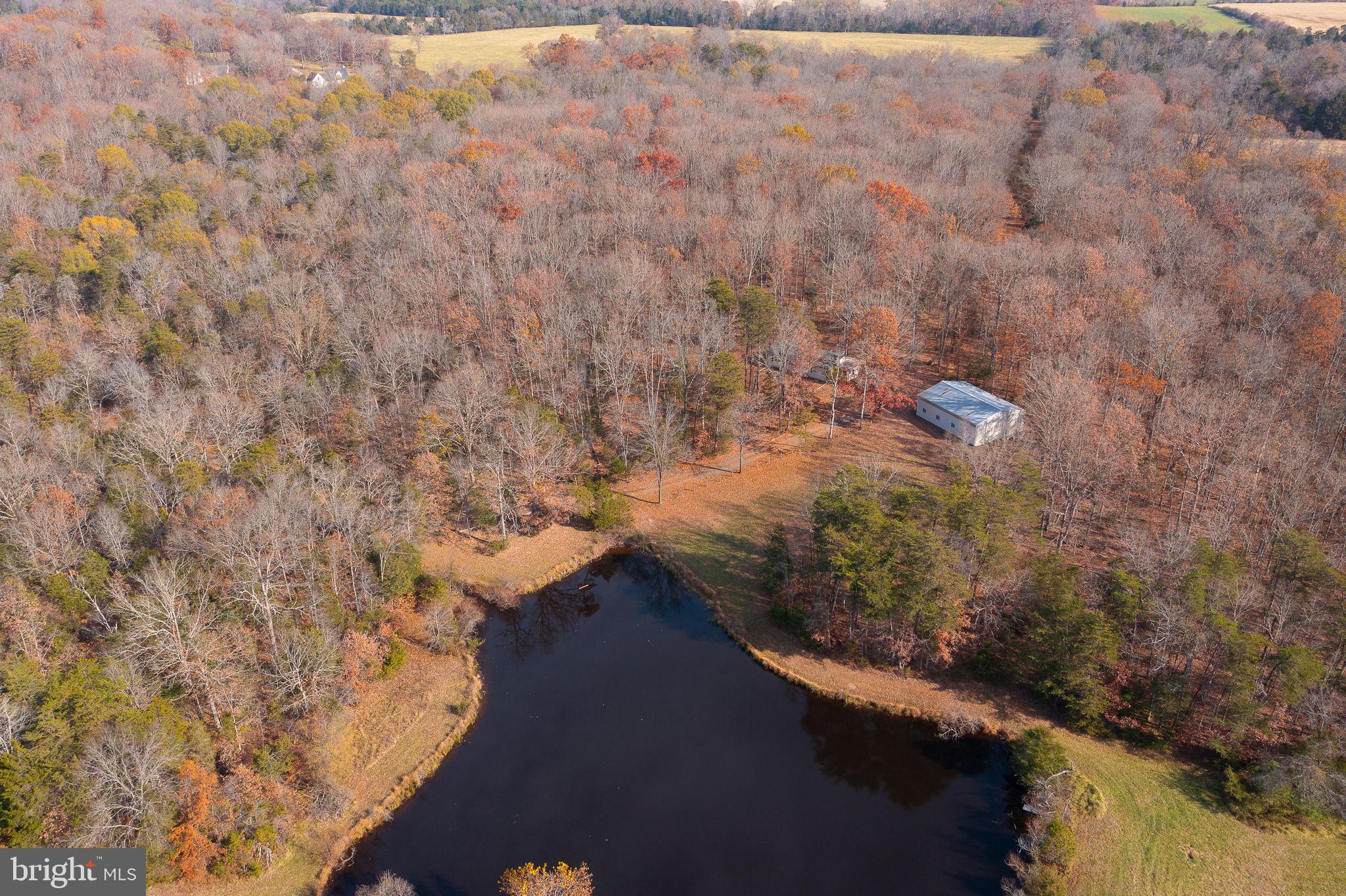 14 ACRES SHENANDOAH PATH