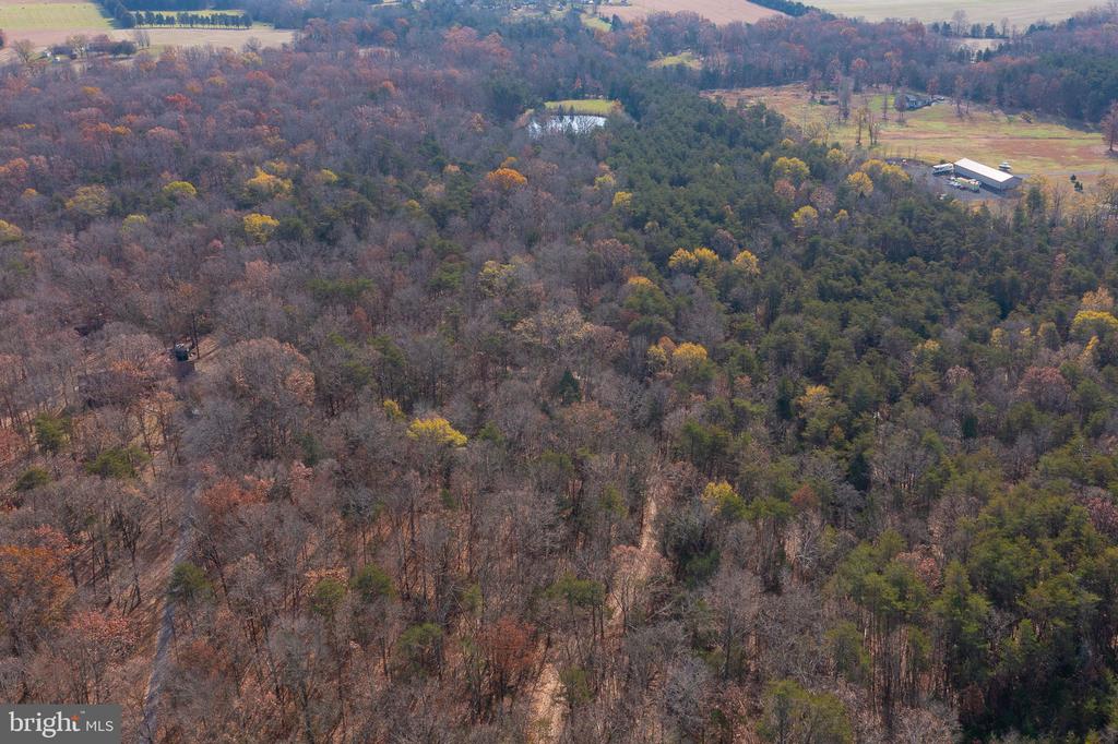 14 ACRES SHENANDOAH PATH
